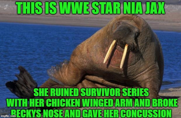 Sexy walrus | THIS IS WWE STAR NIA JAX; SHE RUINED SURVIVOR SERIES WITH HER CHICKEN WINGED ARM AND BROKE BECKYS NOSE AND GAVE HER CONCUSSION | image tagged in sexy walrus | made w/ Imgflip meme maker