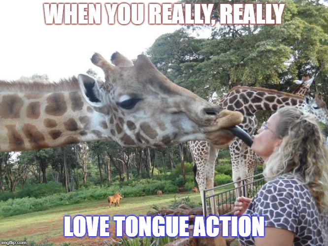 WHEN YOU REALLY, REALLY; LOVE TONGUE ACTION | image tagged in dating | made w/ Imgflip meme maker