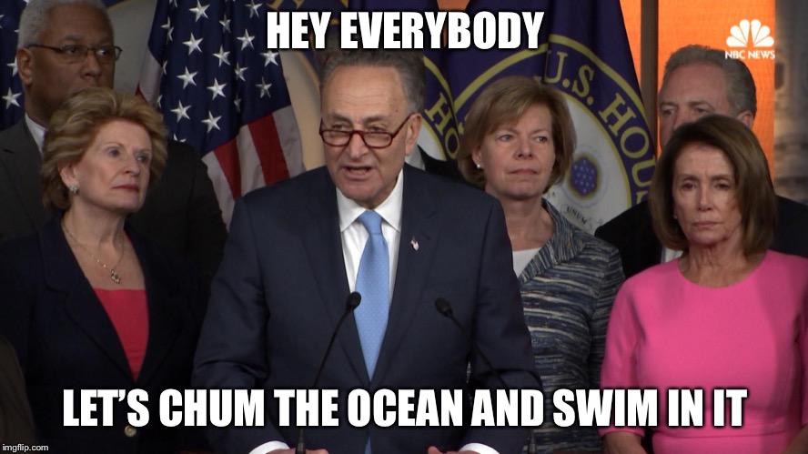 Democrat congressmen | HEY EVERYBODY LET’S CHUM THE OCEAN AND SWIM IN IT | image tagged in democrat congressmen | made w/ Imgflip meme maker