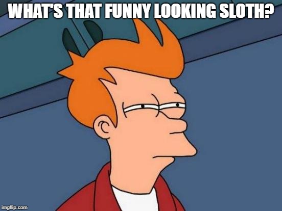 Futurama Fry Meme | WHAT'S THAT FUNNY LOOKING SLOTH? | image tagged in memes,futurama fry | made w/ Imgflip meme maker