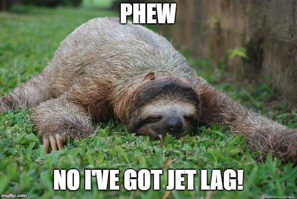 Sleeping sloth | PHEW NO I'VE GOT JET LAG! | image tagged in sleeping sloth | made w/ Imgflip meme maker