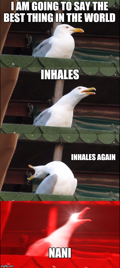 Inhaling Seagull | I AM GOING TO SAY THE BEST THING IN THE WORLD; INHALES; INHALES AGAIN; NANI | image tagged in memes,inhaling seagull | made w/ Imgflip meme maker