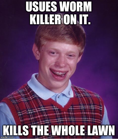 Bad Luck Brian Meme | USUES WORM KILLER ON IT. KILLS THE WHOLE LAWN | image tagged in memes,bad luck brian | made w/ Imgflip meme maker