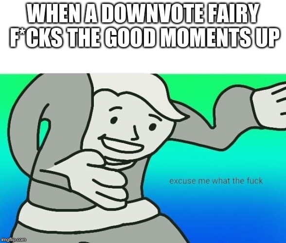 Excuse me, what the fuck | WHEN A DOWNVOTE FAIRY F*CKS THE GOOD MOMENTS UP | image tagged in excuse me what the fuck | made w/ Imgflip meme maker