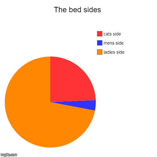 The bed sides | ladies side, mens side , cats side | image tagged in funny,pie charts | made w/ Imgflip chart maker
