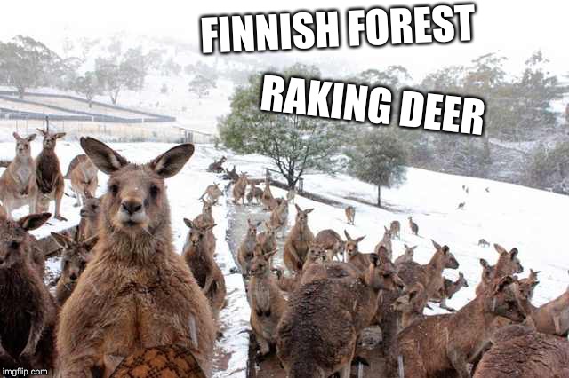 FINNISH FOREST; RAKING DEER | image tagged in finnish,scumbag | made w/ Imgflip meme maker