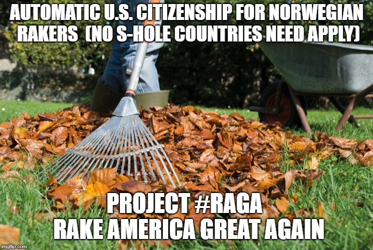 rake | AUTOMATIC U.S. CITIZENSHIP FOR NORWEGIAN RAKERS  (NO S-HOLE COUNTRIES NEED APPLY); PROJECT #RAGA  RAKE AMERICA GREAT AGAIN | image tagged in rake | made w/ Imgflip meme maker