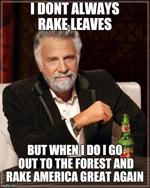 The Most Interesting Man In The World | I DONT ALWAYS RAKE LEAVES; BUT WHEN I DO I GO OUT TO THE FOREST AND RAKE AMERICA GREAT AGAIN | image tagged in memes,the most interesting man in the world | made w/ Imgflip meme maker