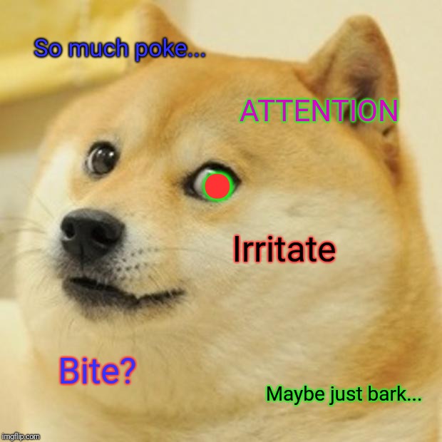 Doge Meme | So much poke... ATTENTION Irritate Bite? Maybe just bark... . | image tagged in memes,doge | made w/ Imgflip meme maker
