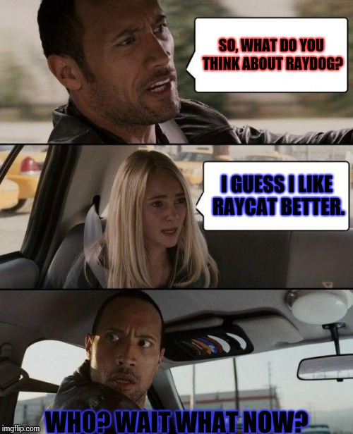 Raydog or Raycat? What next Raybird? Rayrat? IDK help. | SO, WHAT DO YOU THINK ABOUT RAYDOG? I GUESS I LIKE RAYCAT BETTER. WHO? WAIT WHAT NOW? | image tagged in memes,the rock driving,raydog,raycat | made w/ Imgflip meme maker