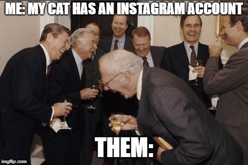 Laughing Men In Suits | ME: MY CAT HAS AN INSTAGRAM ACCOUNT; THEM: | image tagged in memes,laughing men in suits | made w/ Imgflip meme maker
