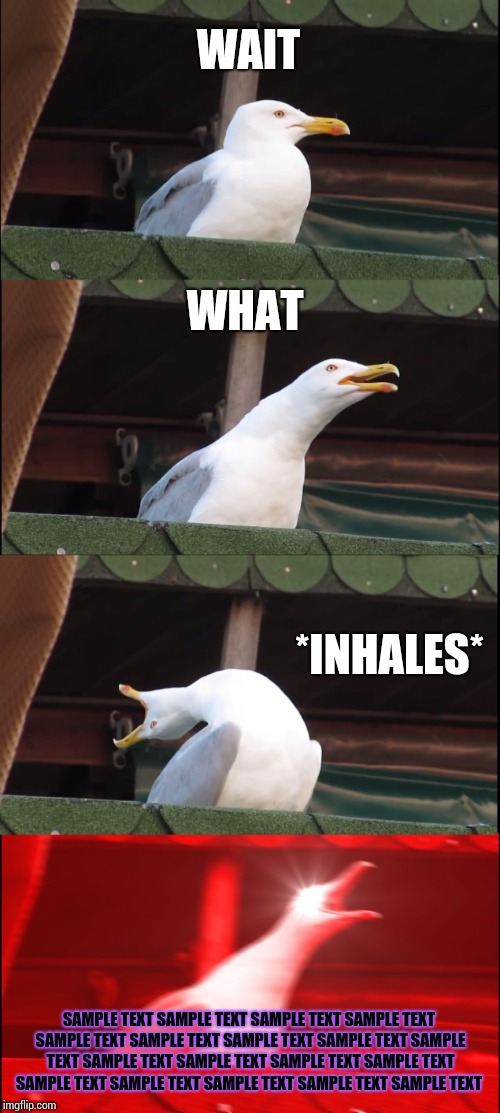 Inhaling Seagull Meme | WAIT WHAT *INHALES* SAMPLE TEXT SAMPLE TEXT SAMPLE TEXT SAMPLE TEXT SAMPLE TEXT SAMPLE TEXT SAMPLE TEXT SAMPLE TEXT SAMPLE TEXT SAMPLE TEXT  | image tagged in memes,inhaling seagull | made w/ Imgflip meme maker