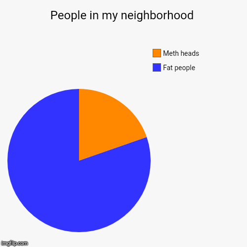 People in my neighborhood | Fat people, Meth heads | image tagged in funny,pie charts | made w/ Imgflip chart maker