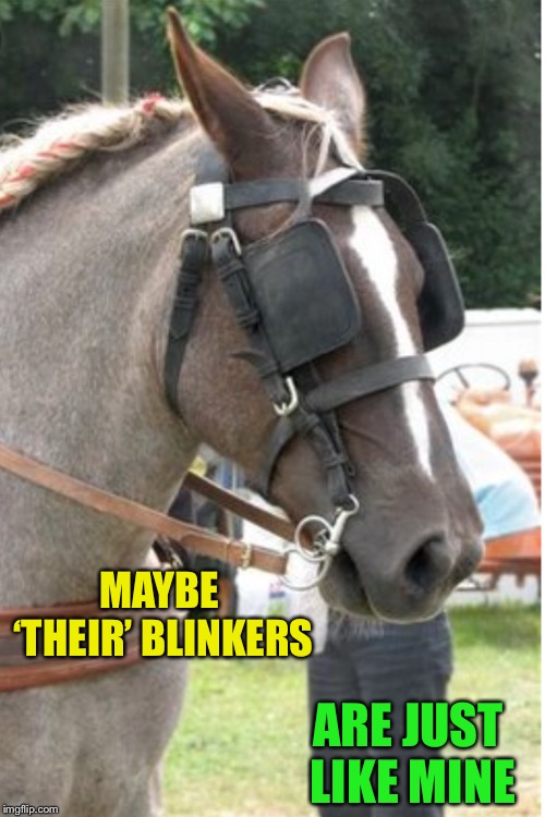 MAYBE ‘THEIR’ BLINKERS ARE JUST LIKE MINE | made w/ Imgflip meme maker