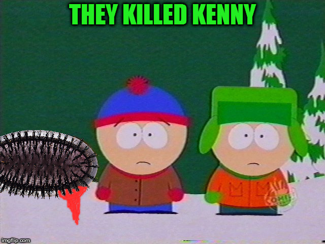they killed kenny | THEY KILLED KENNY | image tagged in they killed kenny | made w/ Imgflip meme maker