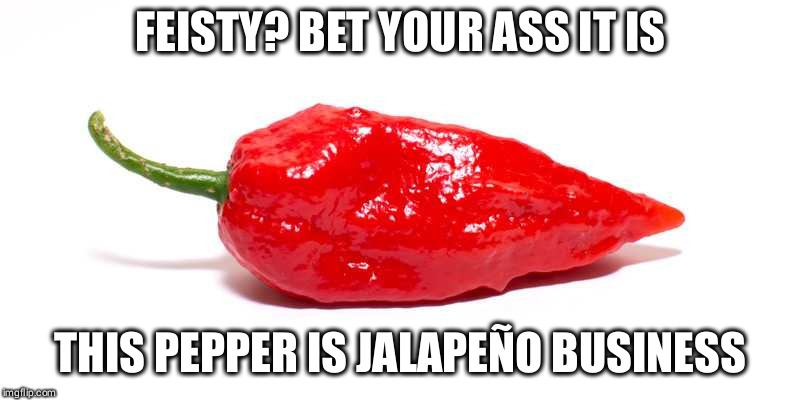 Spice is the spice of life!! | FEISTY? BET YOUR ASS IT IS; THIS PEPPER IS JALAPEÑO BUSINESS | image tagged in ghost pepper,memes,pepper,spicy | made w/ Imgflip meme maker