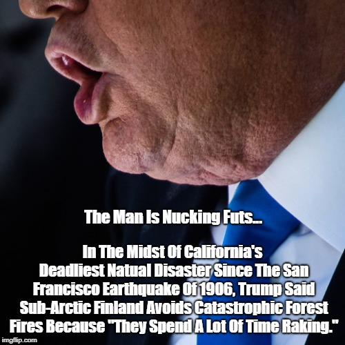 "The Man Is Nucking Futs! In The Midst Of California's Deadliest Disaster Since The San Francisco Earthquake Of 1906..." | The Man Is Nucking Futs... In The Midst Of California's Deadliest Natual Disaster Since The San Francisco Earthquake Of 1906, Trump Said Sub-Arctic Finland Avoids Catastrophic Forest Fires Because "They Spend A Lot Of Time Raking." | image tagged in deplorable donald,despicable donald,devious donald,trump,dishonorable donald,deranged donald | made w/ Imgflip meme maker