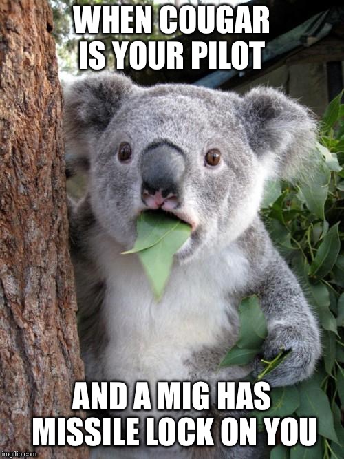 Surprised Koala | WHEN COUGAR IS YOUR PILOT; AND A MIG HAS MISSILE LOCK ON YOU | image tagged in memes,surprised koala | made w/ Imgflip meme maker