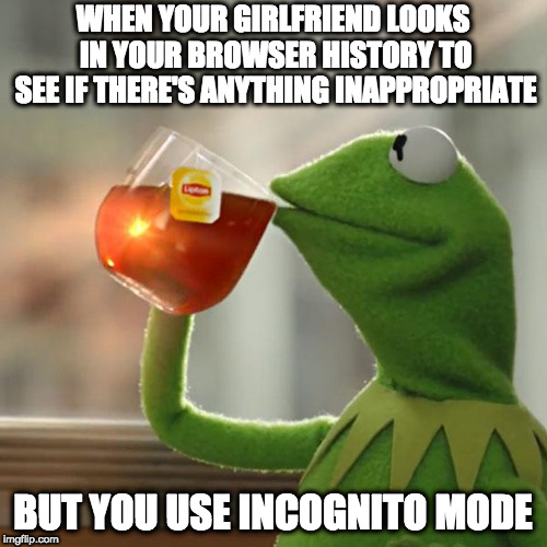 But That's None Of My Business | WHEN YOUR GIRLFRIEND LOOKS IN YOUR BROWSER HISTORY TO SEE IF THERE'S ANYTHING INAPPROPRIATE; BUT YOU USE INCOGNITO MODE | image tagged in memes,but thats none of my business,kermit the frog | made w/ Imgflip meme maker