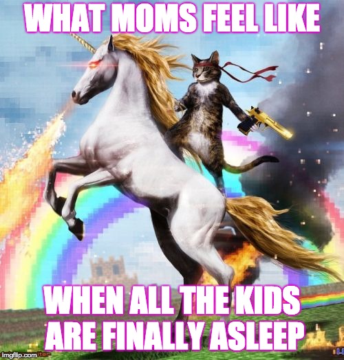 Welcome To The Internets | WHAT MOMS FEEL LIKE; WHEN ALL THE KIDS ARE FINALLY ASLEEP | image tagged in memes,welcome to the internets | made w/ Imgflip meme maker