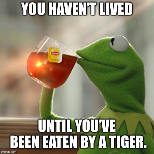 Facts | YOU HAVEN’T LIVED; UNTIL YOU’VE BEEN EATEN BY A TIGER. | image tagged in memes,but thats none of my business,kermit the frog | made w/ Imgflip meme maker