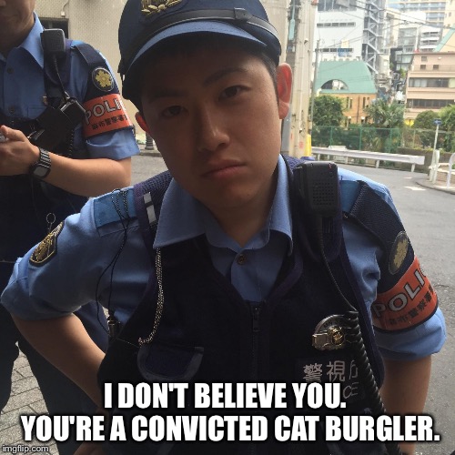 Roppongi Tokyo Japan angry police officer or cop | I DON'T BELIEVE YOU.  YOU'RE A CONVICTED CAT BURGLER. | image tagged in roppongi tokyo japan angry police officer or cop | made w/ Imgflip meme maker
