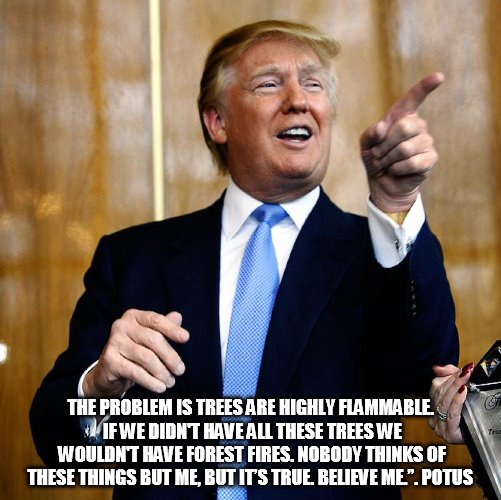 Donal Trump Birthday | THE PROBLEM IS TREES ARE HIGHLY FLAMMABLE. IF WE DIDN'T HAVE ALL THESE TREES WE WOULDN'T HAVE FOREST FIRES. NOBODY THINKS OF THESE THINGS BUT ME, BUT IT’S TRUE. BELIEVE ME.”. POTUS | image tagged in donal trump birthday | made w/ Imgflip meme maker