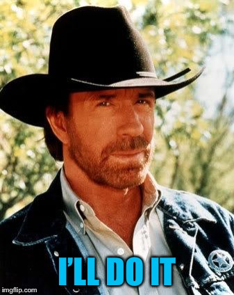Chuck Norris Meme | I’LL DO IT | image tagged in memes,chuck norris | made w/ Imgflip meme maker