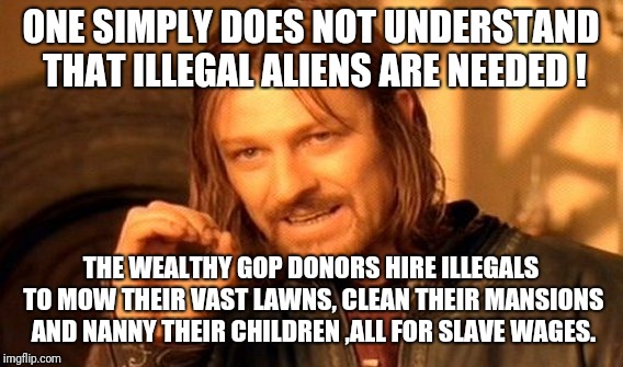 One Does Not Simply Meme | ONE SIMPLY DOES NOT UNDERSTAND THAT ILLEGAL ALIENS ARE NEEDED ! THE WEALTHY GOP DONORS HIRE ILLEGALS TO MOW THEIR VAST LAWNS, CLEAN THEIR MANSIONS AND NANNY THEIR CHILDREN ,ALL FOR SLAVE WAGES. | image tagged in memes,one does not simply | made w/ Imgflip meme maker