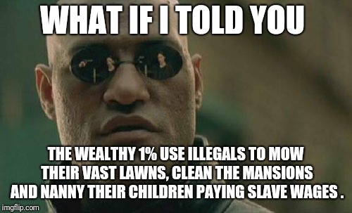 Matrix Morpheus | WHAT IF I TOLD YOU; THE WEALTHY 1% USE ILLEGALS TO MOW THEIR VAST LAWNS, CLEAN THE MANSIONS AND NANNY THEIR CHILDREN PAYING SLAVE WAGES . | image tagged in memes,matrix morpheus | made w/ Imgflip meme maker
