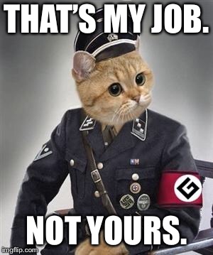 Grammar Nazi Cat | THAT’S MY JOB. NOT YOURS. | image tagged in grammar nazi cat | made w/ Imgflip meme maker