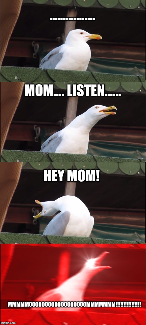 Inhaling Seagull | ................. MOM....
LISTEN...... HEY MOM! MMMMMOOOOOOOOOOOOOOOOOOMMMMMMM!!!!!!!!!!!!!!!! | image tagged in memes,inhaling seagull | made w/ Imgflip meme maker