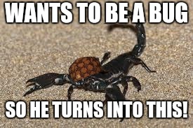 Scumbag Scorpion | WANTS TO BE A BUG; SO HE TURNS INTO THIS! | image tagged in scumbag scorpion | made w/ Imgflip meme maker