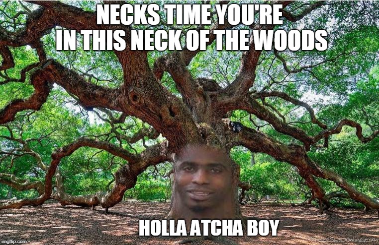 NECKS TIME YOU'RE IN THIS NECK OF THE WOODS; HOLLA ATCHA BOY | image tagged in neck | made w/ Imgflip meme maker