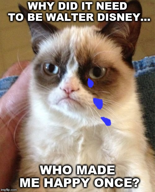 Grumpy Cat Meme | WHY DID IT NEED TO BE WALTER DISNEY... WHO MADE ME HAPPY ONCE? | image tagged in memes,grumpy cat | made w/ Imgflip meme maker