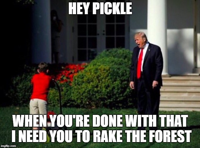 Rake the forest, Pickle | HEY PICKLE; WHEN YOU'RE DONE WITH THAT I NEED YOU TO RAKE THE FOREST | image tagged in trump yells at lawnmower kid,memes,politics,donald trump,forest fire | made w/ Imgflip meme maker