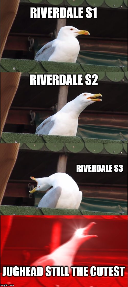 Inhaling Seagull | RIVERDALE S1; RIVERDALE S2; RIVERDALE S3; JUGHEAD STILL THE CUTEST | image tagged in memes,inhaling seagull | made w/ Imgflip meme maker