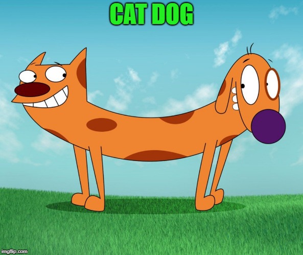 CAT DOG | made w/ Imgflip meme maker