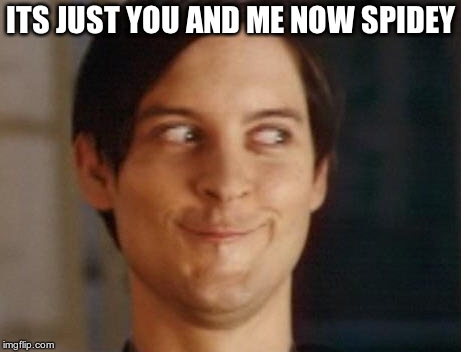 Spiderman Peter Parker Meme | ITS JUST YOU AND ME NOW SPIDEY | image tagged in memes,spiderman peter parker | made w/ Imgflip meme maker
