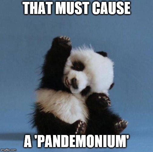 Panda | THAT MUST CAUSE A 'PANDEMONIUM' | image tagged in panda | made w/ Imgflip meme maker