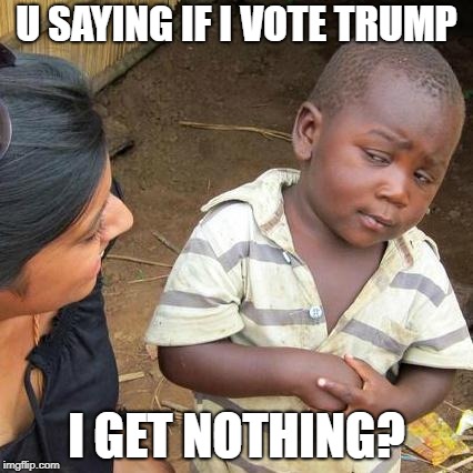 Third World Skeptical Kid | U SAYING IF I VOTE TRUMP; I GET NOTHING? | image tagged in memes,third world skeptical kid | made w/ Imgflip meme maker