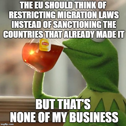 EU be like | THE EU SHOULD THINK OF RESTRICTING MIGRATION LAWS INSTEAD OF SANCTIONING THE COUNTRIES THAT ALREADY MADE IT; BUT THAT'S NONE OF MY BUSINESS | image tagged in memes,but thats none of my business,kermit the frog,eu,european union,migrants | made w/ Imgflip meme maker