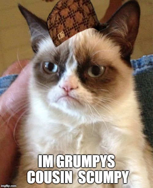 Scumpy Cat | IM GRUMPYS COUSIN  SCUMPY | image tagged in memes,grumpy cat,scumbag | made w/ Imgflip meme maker