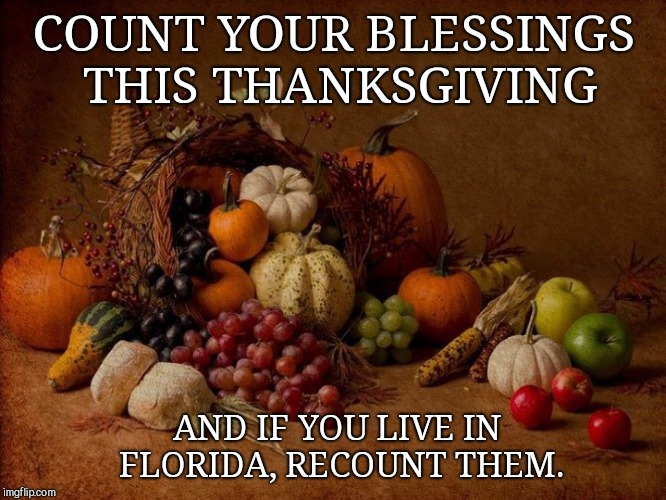 Thanksgiving | COUNT YOUR BLESSINGS THIS THANKSGIVING; AND IF YOU LIVE IN FLORIDA, RECOUNT THEM. | image tagged in thanksgiving,blessings,florida | made w/ Imgflip meme maker