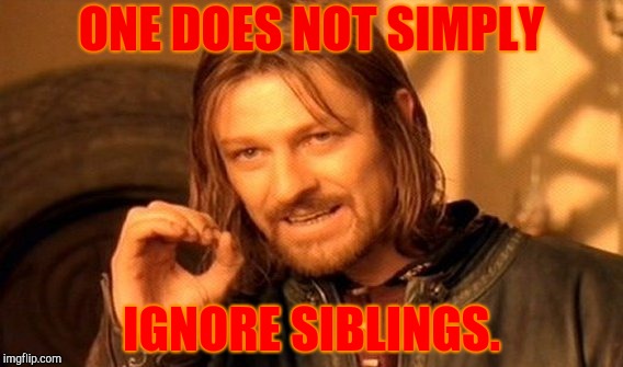One Does Not Simply | ONE DOES NOT SIMPLY; IGNORE SIBLINGS. | image tagged in memes,one does not simply | made w/ Imgflip meme maker