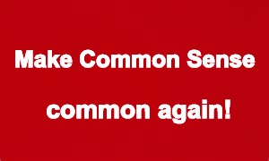 If only... | Make Common Sense; common again! | image tagged in make america great again,common sense,memes | made w/ Imgflip meme maker
