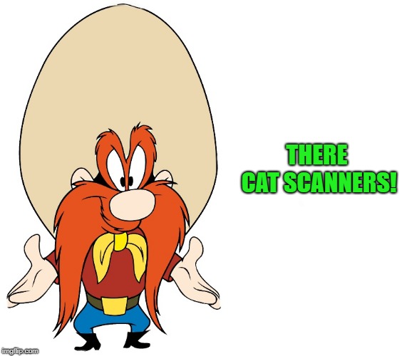THERE CAT SCANNERS! | image tagged in yosemite sam | made w/ Imgflip meme maker