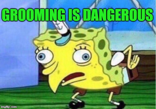 Mocking Spongebob Meme | GROOMING IS DANGEROUS | image tagged in memes,mocking spongebob | made w/ Imgflip meme maker
