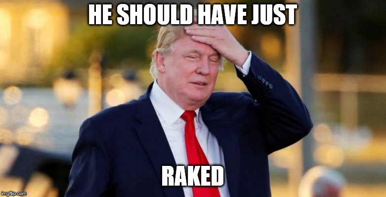 HE SHOULD HAVE JUST RAKED | made w/ Imgflip meme maker
