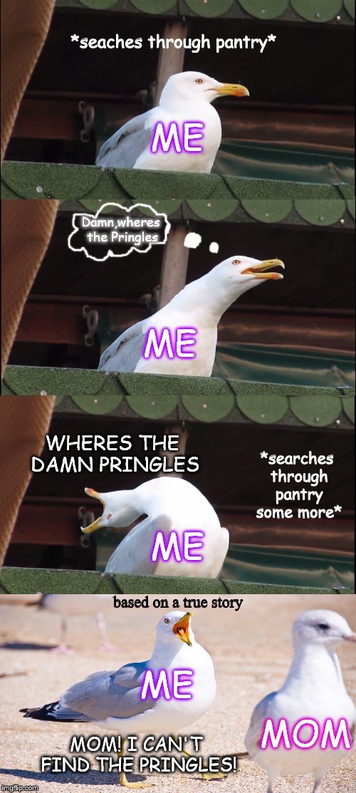 Inhaling Seagull Meme | *seaches through pantry*; ME; Damn,wheres the Pringles; ME; WHERES THE DAMN PRINGLES; *searches through pantry some more*; ME; based on a true story; ME; MOM; MOM! I CAN'T FIND THE PRINGLES! | image tagged in memes,inhaling seagull | made w/ Imgflip meme maker